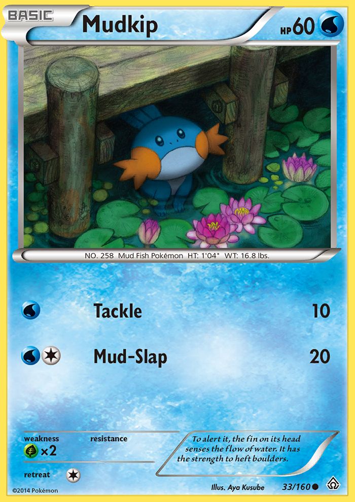 Mudkip Collector Chest Holo