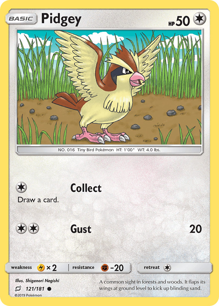 Pidgey 