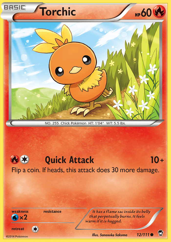 Torchic Crosshatch Holo City Championships 